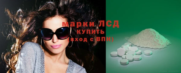 сатива Баксан