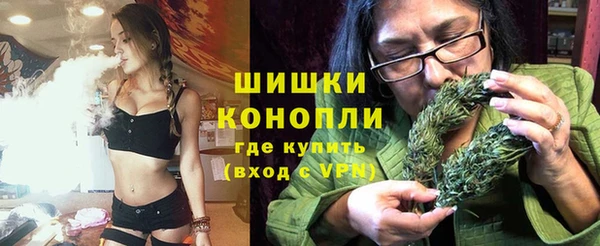 сатива Баксан