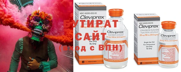 сатива Баксан