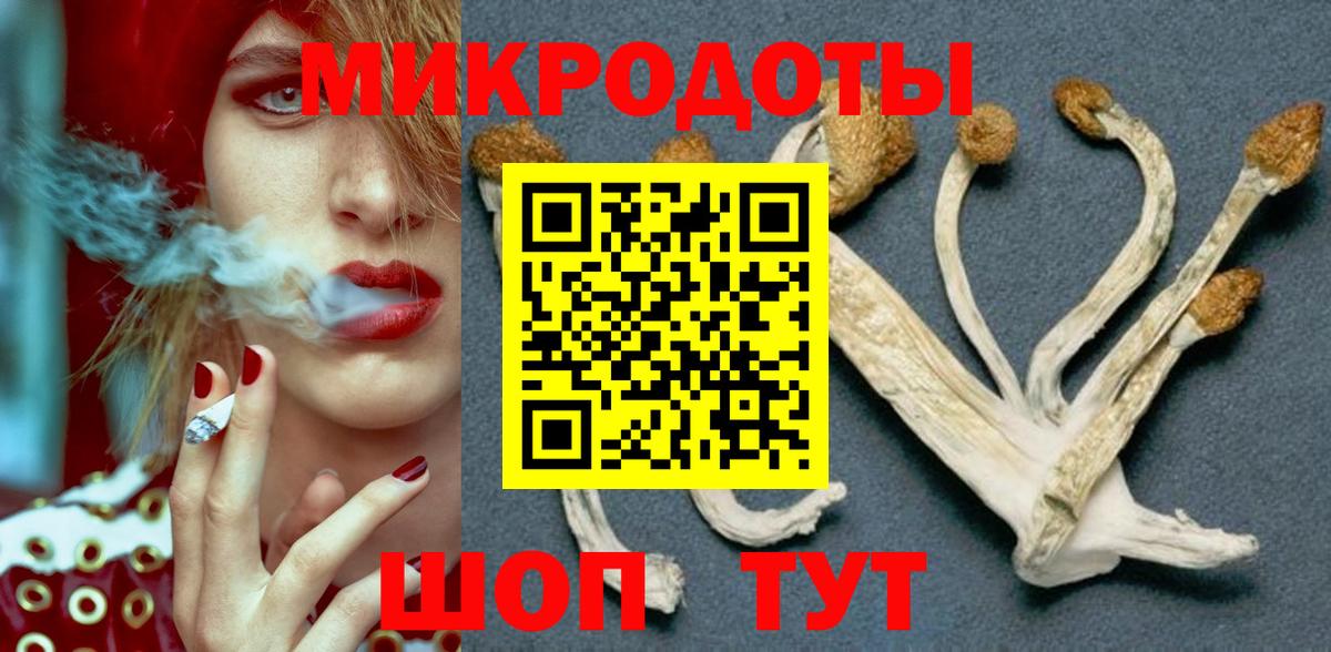 Гулькевичи  Псилоцибиновые грибы Psilocybe  Вход с VPN 
