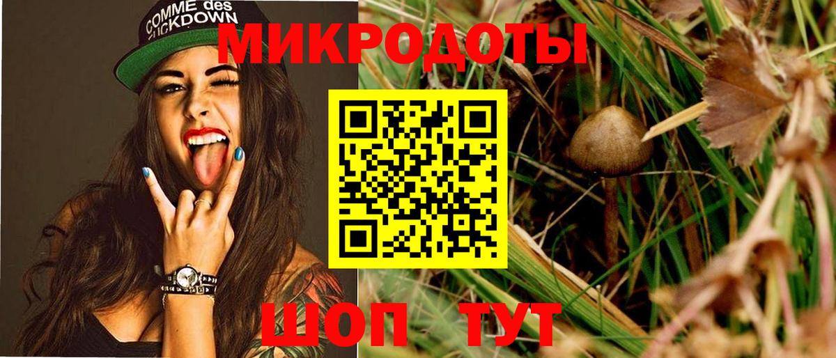 Галлюциногенные грибы Psilocybe Гулькевичи