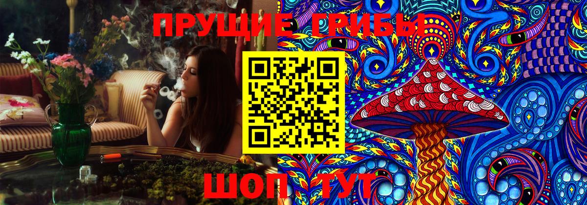 Псилоцибиновые грибы Psilocybe Гулькевичи